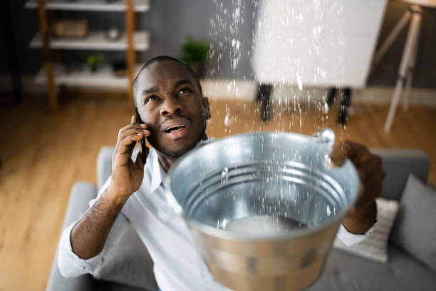 Reliable Gainesboro, TN Water damage restoration Solutions
