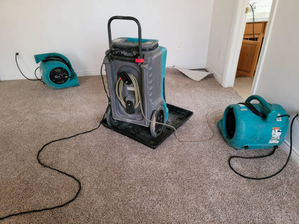 Best Local water damage restoration  in Gainesboro, TN