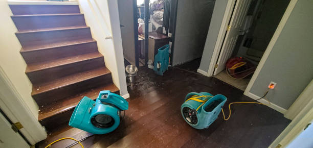 Best Sewage cleanup and water damage restoration  in Gainesboro, TN