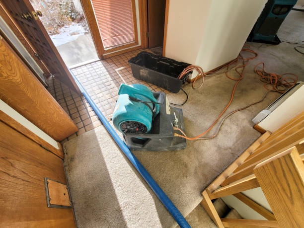 Best Flood restoration services  in Gainesboro, TN