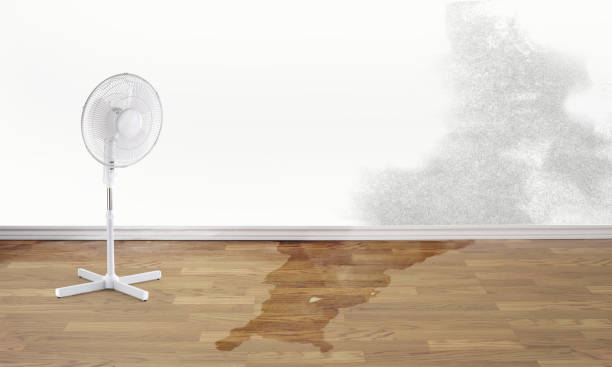  Gainesboro, TN Water damage restoration Pros