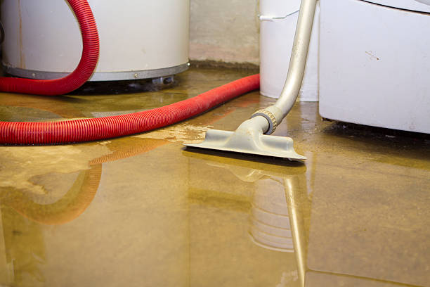 Best Water damage restoration near me  in Gainesboro, TN