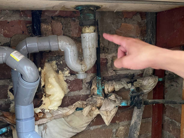 Best Fire Damage Restoration  in Gainesboro, TN