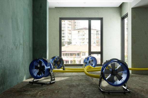 Best 24/7 water damage repair  in Gainesboro, TN